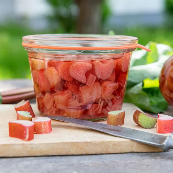 WECK Mold Serisi 370 ml Saklama ve Konserve Kavanozu